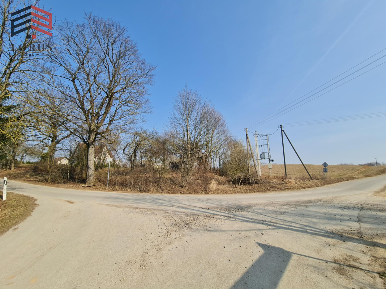 Image 2 of 18