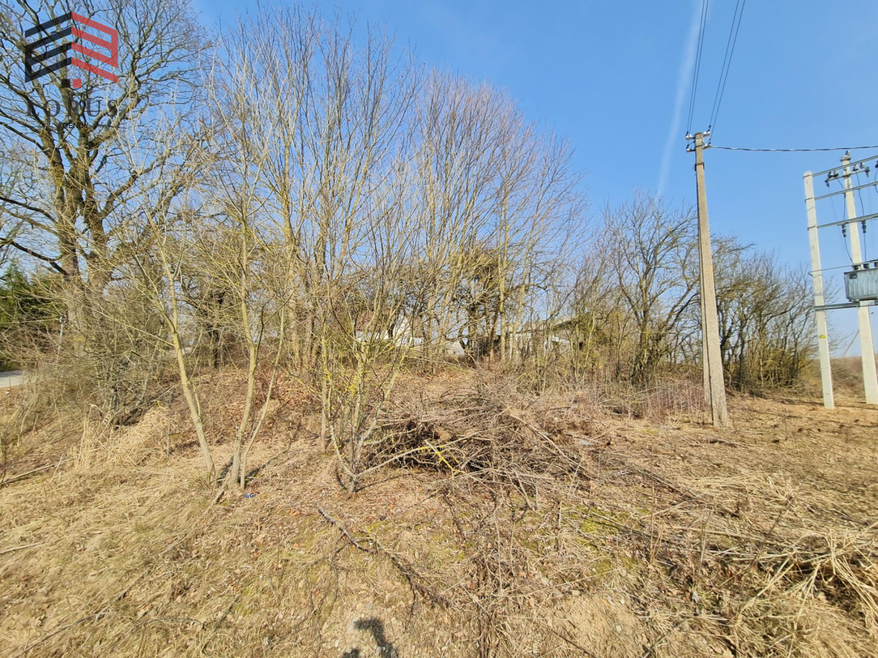 Image 16 of 18
