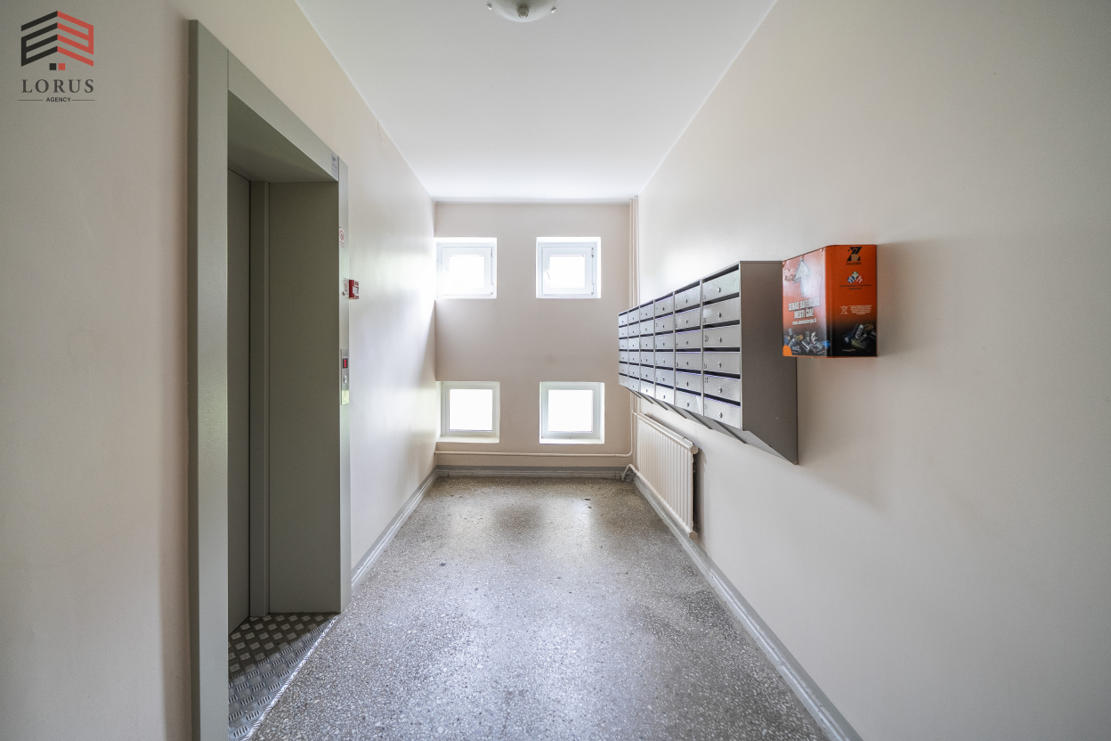 Image 24 of 28
