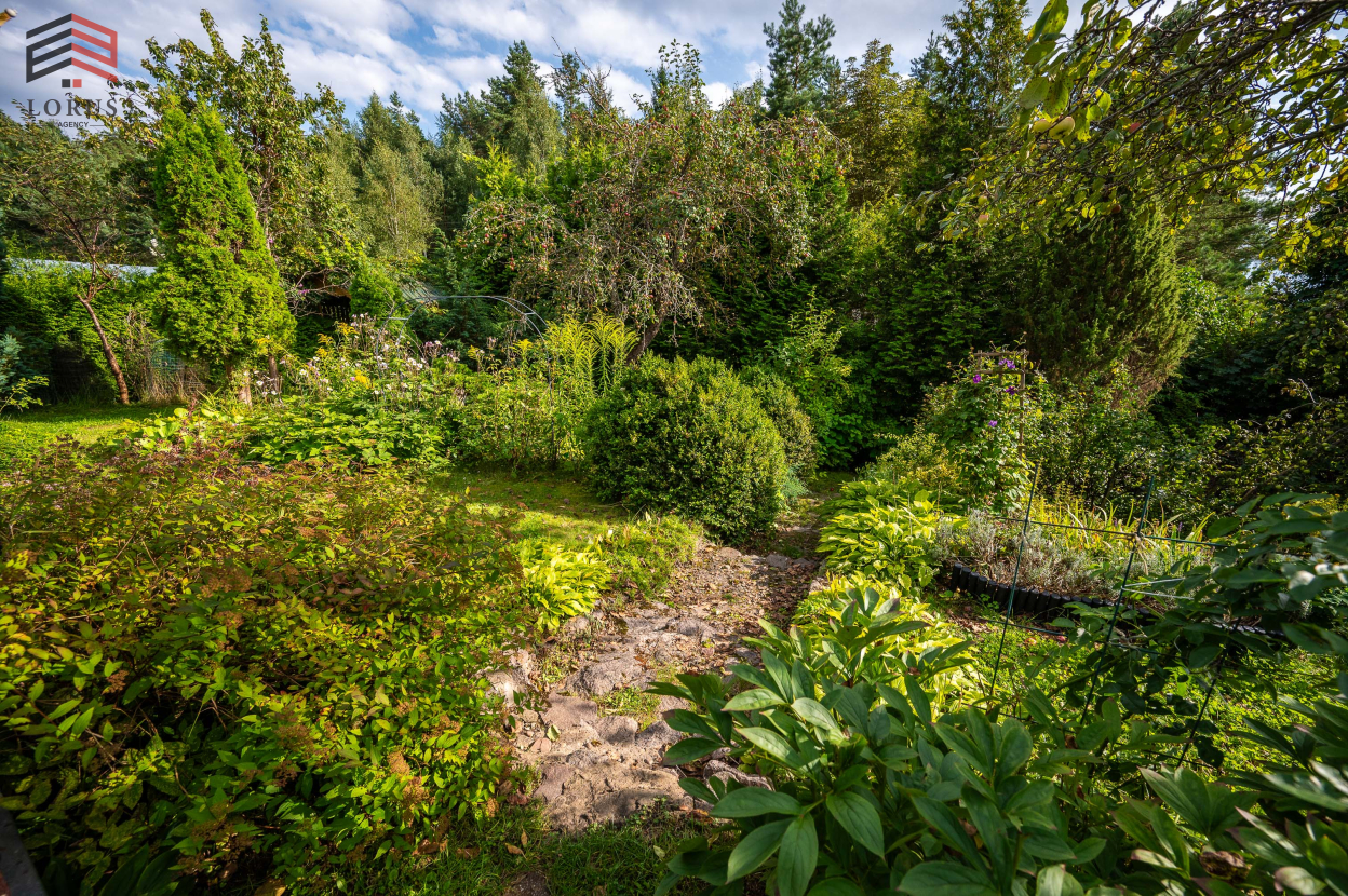Image 24 of 46