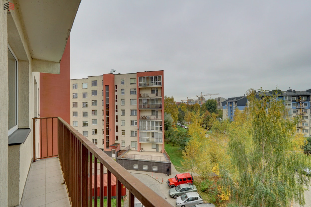 Image 8 of 13
