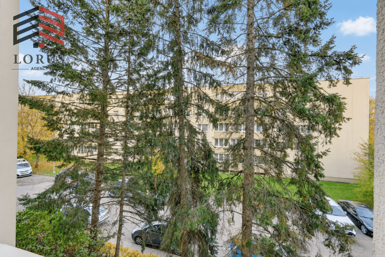 Image 2 of 19